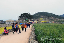 청산도 슬로걷기 축제에 역대 최대 8만명 찾았다