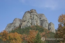  제10회 지훈예술제 14일 개최