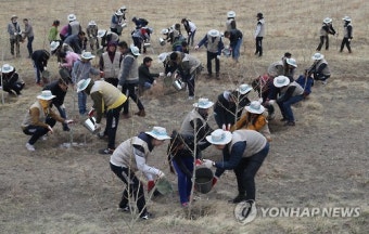 대한항공, 몽골에서 나무심기 봉사