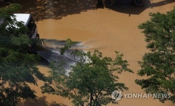 여의도 물차 떴다!