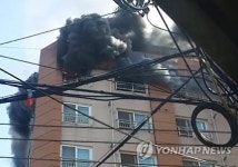 쉬젠비아채