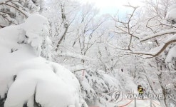 자로 재던 한라산 적설량, 레이저 장비로도 측정한다
