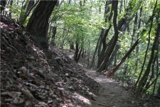 <길따라 멋따라> 천안서 숱한 역사의 인물을 만나다