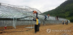 정선소방서, 강풍 피해 복구 작업