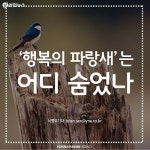  한국인의 행복 파랑새는 어디 숨었나