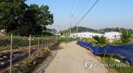전철역 가는 농로