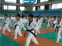 태권도지도자, 국기원 4단 이상 보유자만 가능