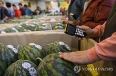 경매 시작