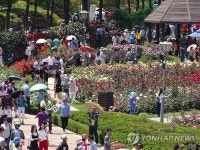 곡성 1004 장미공원 북적