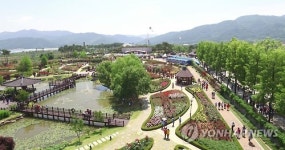 하늘에서 본 곡성 장미축제