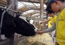 어린이 낙농체험