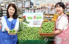 자연의 건강함을 담다 판촉행사