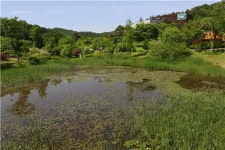 비밀정원·피톤치드 숲길…초여름 힐링을 이곳에서