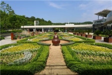 비밀정원·피톤치드 숲길…초여름 힐링을 이곳에서