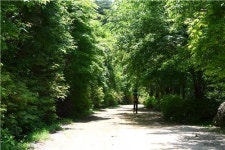 비밀정원·피톤치드 숲길…초여름 힐링을 이곳에서