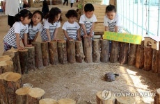 거북아, 거북아 뭐하니?