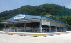 옛 명성 되찾자…옥천 가축시장 전자경매제 도입