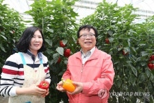 파프리카 농장 방문한 이동필 장관