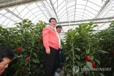 파프리카 농장 방문한 이동필 장관