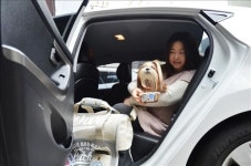 반려동물을 부탁해…유통업계 펫 셰프족 겨냥