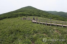천상의 화원 곰배령 사재기 예약 기승…산림청은 엄포만