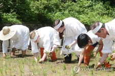 창덕궁에서 모내기 체험해요