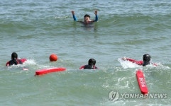해수욕장 피서객 구조 훈련