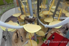 인기 많은 아이그루놀이