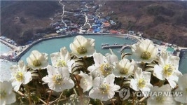 안산 풍도 휴가철 찾아가고 싶은 섬 선정