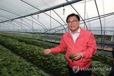 깻잎 유통 현장 찾은 이동필 장관
