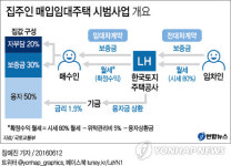 집주인 매입임대주택 시범사업 내달 개시