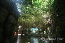국립생태원 에코리움, 세계 5대 기후대 체험 가능