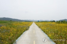 부여 백마강 둔치 야생화단지