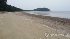 가고싶은 섬 보령 삽시도