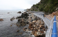 강릉 정동∼심곡 해안단구 탐방로 8월 완공