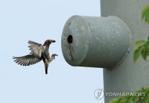 "스틸하우스가 좋아"