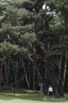일반에 공개된 파주 장릉