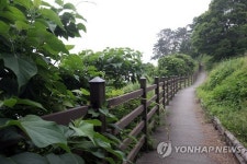 실리도 둘레길 걸어요