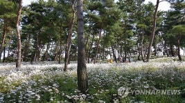 파주 율곡수목원에 사임당 숲 조성