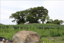 <가고싶은 섬> 윤선도의 섬 보길도·전복섬 노화도