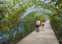 안동농업기술센터 박 터널