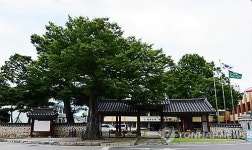 충남 홍성 홍주 지명 되찾기 운동 본격화