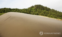 지금은 출입금지된 우이도 사구 정상