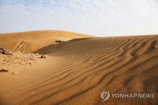 지금은 출입금지된 우이도 사구 정상