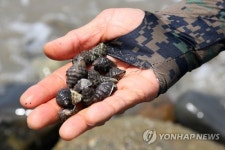 <가고 싶은 섬> 안산 풍도..고동