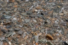  물이 맑은 화성시 국화도 해수욕장