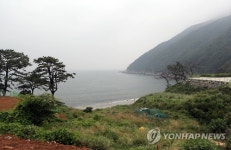신공항 건설 백지화된 가덕도
