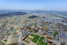 신공항 백지화된 밀양 하남읍