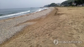 침식으로 몽돌 드러난 해변