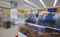 춘천에 수산물종합유통센터 개장